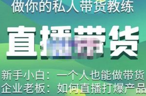 硬核傳媒·直播帶貨(私人教練),實踐教學,通俗易懂