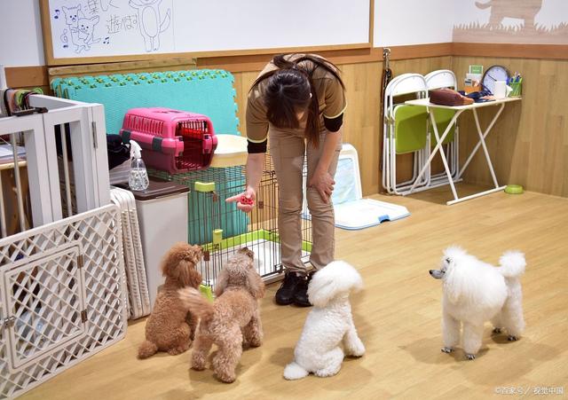 圖片[8] - 新年回去可做的小工程項目，生活習慣掙錢！（過節掙錢的小工程項目有什么樣呢） - 嚴選資源大全 - 嚴選資源大全