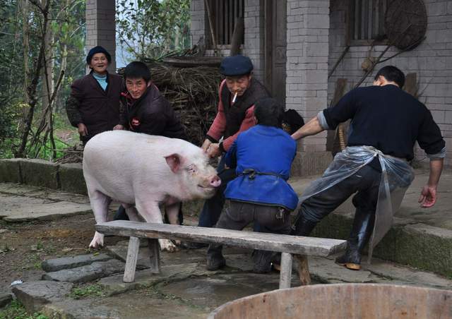 圖片[3] - 貧困地區過節前很掙錢的4個工程項目，許多人沒錯，誰做誰掙錢，別忘了（貧困地區搞甚么最掙錢） - 嚴選資源大全 - 嚴選資源大全