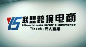 Tiktok無人直播，跨境電商小視頻躺著賺錢游戲玩法，不出境，不拍視頻剪輯，不拍照，不發貨，不售后 - 嚴選資源大全 - 嚴選資源大全