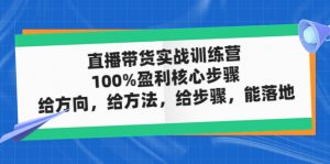 直播賣貨實操特訓營:100%贏利核心內容流程,給方位,給辦法,給流程,能落地 - 嚴選資源大全 - 嚴選資源大全