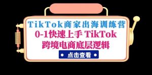TikTok商戶啟航特訓營:0-1快速入門TikTok跨境電子商務底層思維 - 嚴選資源大全 - 嚴選資源大全