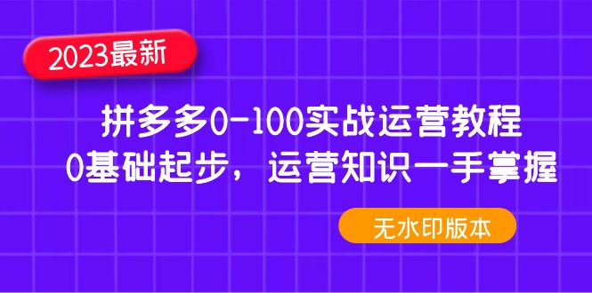 2023年拼多多商家0-100實戰演練使用基礎教程，0基礎性發展，盡在掌握使用常識(無水印) - 嚴選資源大全