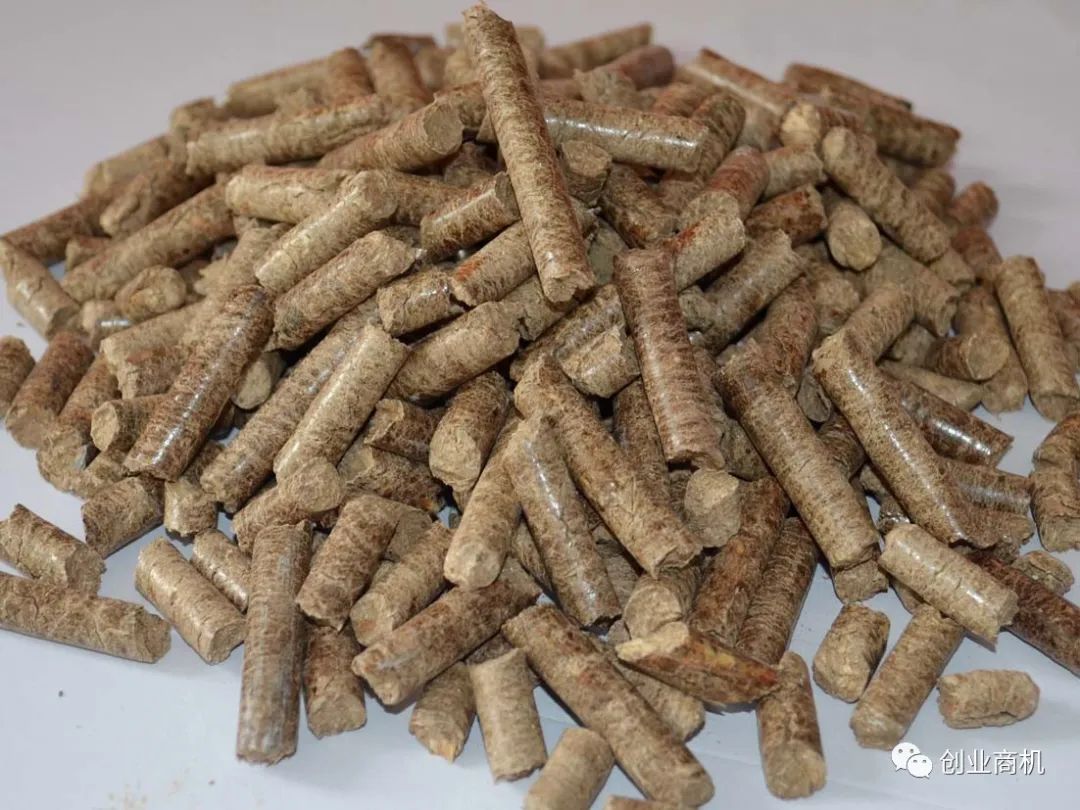 圖片[3]-投資小，適合夫妻2人干，一天也能搞個1000多，收入比打工高。-阿燦說錢