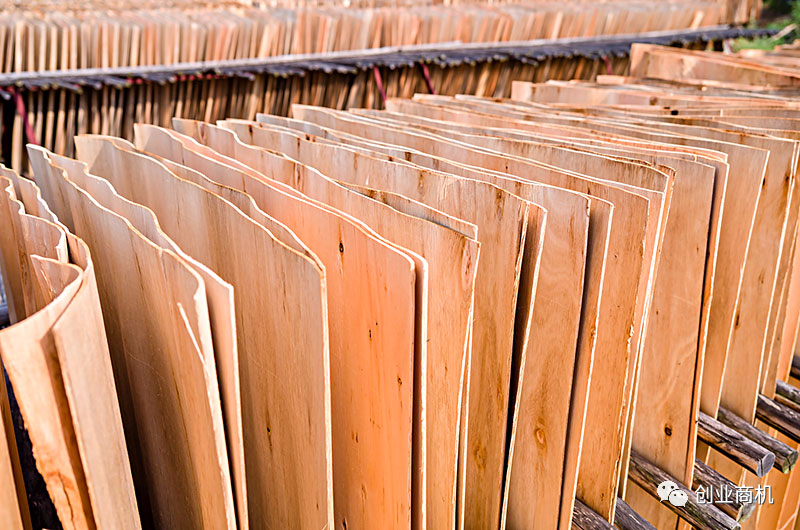 圖片[1]-投資小，適合夫妻2人干，一天也能搞個1000多，收入比打工高。-阿燦說錢