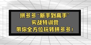 拼多多平臺“初學者到大神”實戰演練夏令營:陪您多方位輕松玩拼多多平臺! - 嚴選資源大全 - 嚴選資源大全
