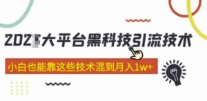 網絡平臺高科技引流技術，小白可以依靠這些技術混合月入1W(2022年課程內容) - 嚴選資源大全 - 嚴選資源大全