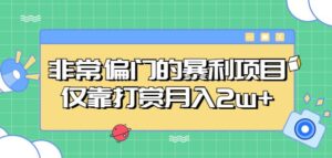 很不受歡迎的賺錢項目，只靠獎勵網絡主播月收入2w - 嚴選資源大全 - 嚴選資源大全