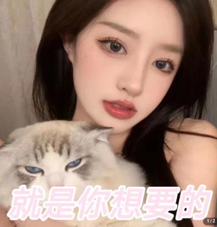 微信交友變現項目，吸引全網LSP男粉精準變現，小白也能輕松上手，日入500+