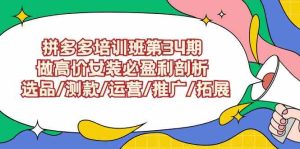 (9333期)拼多多培訓班第34期:做高價女裝必盈利剖析 選品/測款/運營/推廣/拓展 - 嚴選資源大全 - 嚴選資源大全