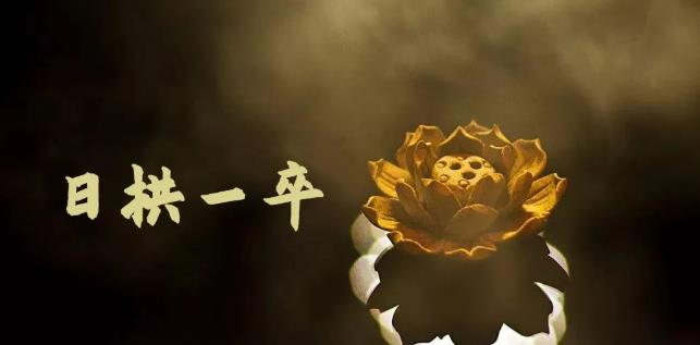 月入8000+，無腦搬磚，普通人可以復制的副業賺錢項目(附軟件) - 嚴選資源大全