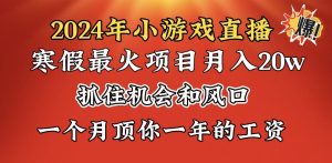 2024年寒假爆火項(xiàng)目，小游戲直播月入20w+，學(xué)會(huì)了之后你將翻身 - 嚴(yán)選資源大全 - 嚴(yán)選資源大全