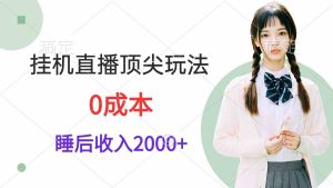 （9715期）掛機直播頂尖玩法，睡后日收入2000+、0成本，視頻教學 - 嚴選資源大全 - 嚴選資源大全