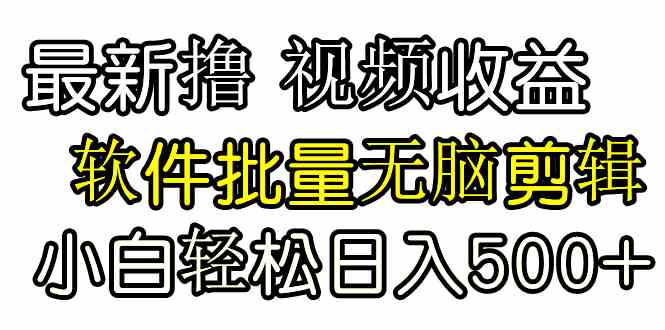 (9569期)發視頻擼收益,軟件無腦批量剪輯,第一天發第二天就有錢 - 嚴選資源大全