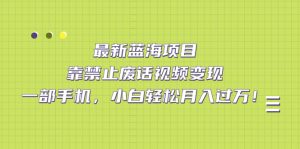 最新藍海項目，靠禁止廢話視頻變現，一部手機，小白輕松月入過萬！ - 嚴選資源大全 - 嚴選資源大全