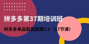 拼多多第37期培訓(xùn)班：拼多多單品裂變起爆2.0（17節(jié)課） - 嚴(yán)選資源大全 - 嚴(yán)選資源大全