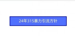 24年315暴力引流方針 - 嚴選資源大全 - 嚴選資源大全