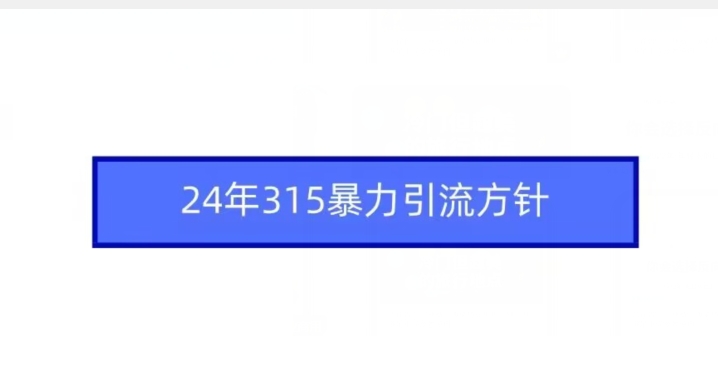 24年315暴力引流方針 - 嚴(yán)選資源大全