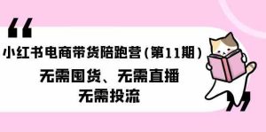 (9996期)小紅書電商帶貨陪跑營(第11期)無需囤貨、無需直播、無需投流(送往期10套) - 嚴選資源大全 - 嚴選資源大全