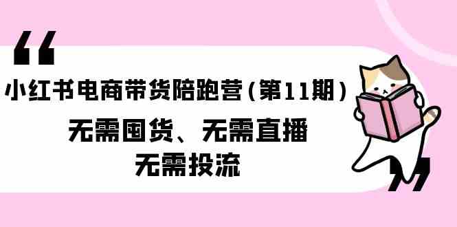 (9996期)小紅書電商帶貨陪跑營(第11期)無需囤貨、無需直播、無需投流(送往期10套) - 嚴選資源大全