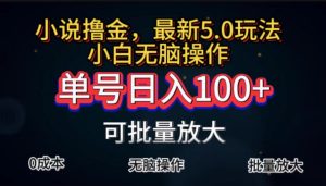 全自動小說擼金,單號日入100+小白輕松上手,無腦操作 - 嚴選資源大全 - 嚴選資源大全