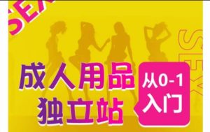 成人用品獨立站從0-1入門，成品獨立站運營全流程教學，七大好賣成品獨立站推薦 - 嚴選資源大全 - 嚴選資源大全