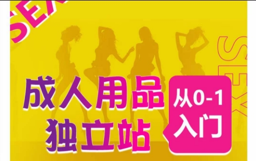 成人用品獨立站從0-1入門，成品獨立站運營全流程教學，七大好賣成品獨立站推薦 - 嚴選資源大全