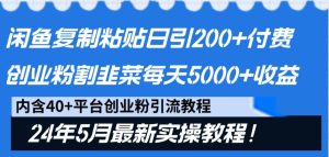 閑魚復制粘貼日引200+付費創業粉，24年5月最新方法！割韭菜日穩定5000+收益 - 嚴選資源大全 - 嚴選資源大全