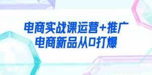 (9313期)電商實戰課運營+推廣,電商新品從0打爆(99節視頻課) - 嚴選資源大全 - 嚴選資源大全