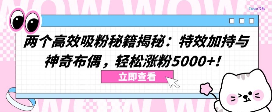 兩個(gè)高效吸粉秘籍揭秘:特效加持與神奇布偶,輕松漲粉5000+ - 嚴(yán)選資源大全