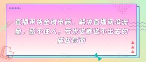 直播帶貨全域電商,解決直播間沒流量,留不住人,虧米送都送不出去的尷尬局面 - 嚴選資源大全 - 嚴選資源大全