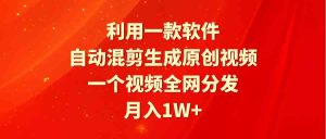 (9472期)利用一款軟件,自動混剪生成原創視頻,一個視頻全網分發,月入1W+附軟件 - 嚴選資源大全 - 嚴選資源大全
