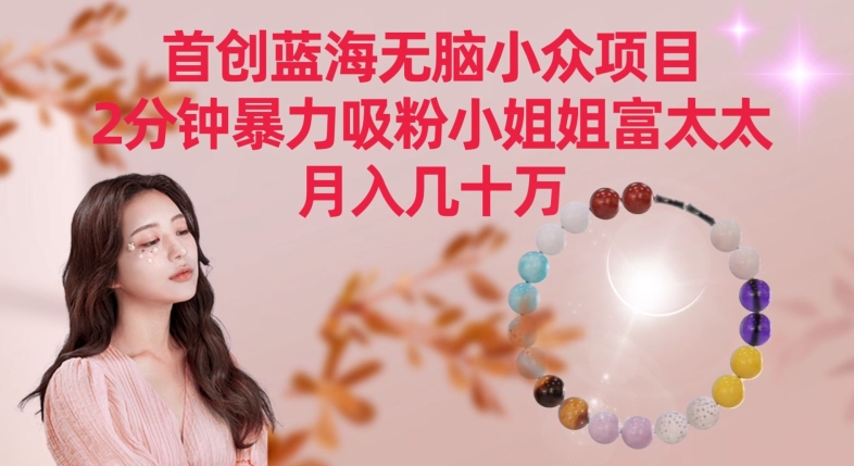首創藍海無腦小眾項目,2分鐘暴力吸粉小姐姐富太太,月入幾十萬 - 嚴選資源大全