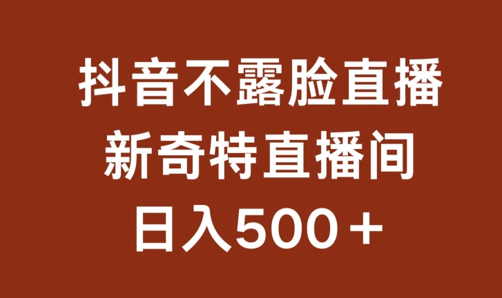 不露臉掛機直播，新奇特直播間，日入500+ - 嚴選資源大全