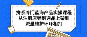 (9527期)拼系冷門藍海產品實操課程,從注冊店鋪到選品上架到流量維護環(huán)環(huán)相扣 - 嚴選資源大全 - 嚴選資源大全