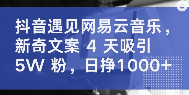 抖音遇見網易云音樂，新奇文案 4 天吸引 5W 粉，日掙1000+ - 嚴選資源大全