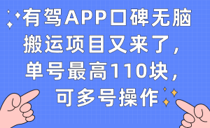 有駕APP口碑無腦搬運項目又來了,單號最高110塊,可多號操作 - 嚴選資源大全 - 嚴選資源大全