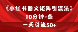 （9538期）《小紅書圖文矩陣引流法》 10分鐘-條 ，一天引流50+ - 嚴選資源大全 - 嚴選資源大全