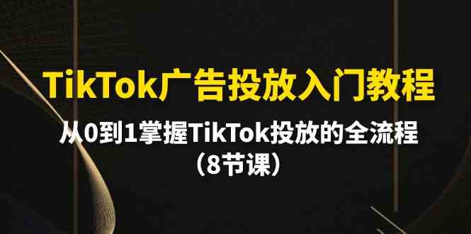 （10085期）TikTok廣告投放入門教程，從0到1掌握TikTok投放的全流程（8節課） - 嚴選資源大全