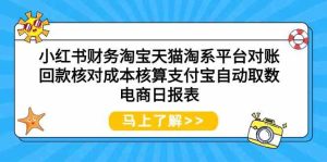 小紅書財務淘寶天貓淘系平臺對賬回款核對成本核算支付寶自動取數電商日報表 - 嚴選資源大全 - 嚴選資源大全