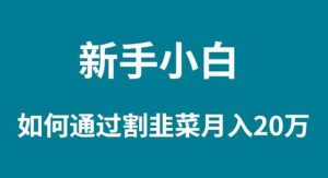 （9308期）新手小白如何通過割韭菜月入 20W - 嚴選資源大全 - 嚴選資源大全