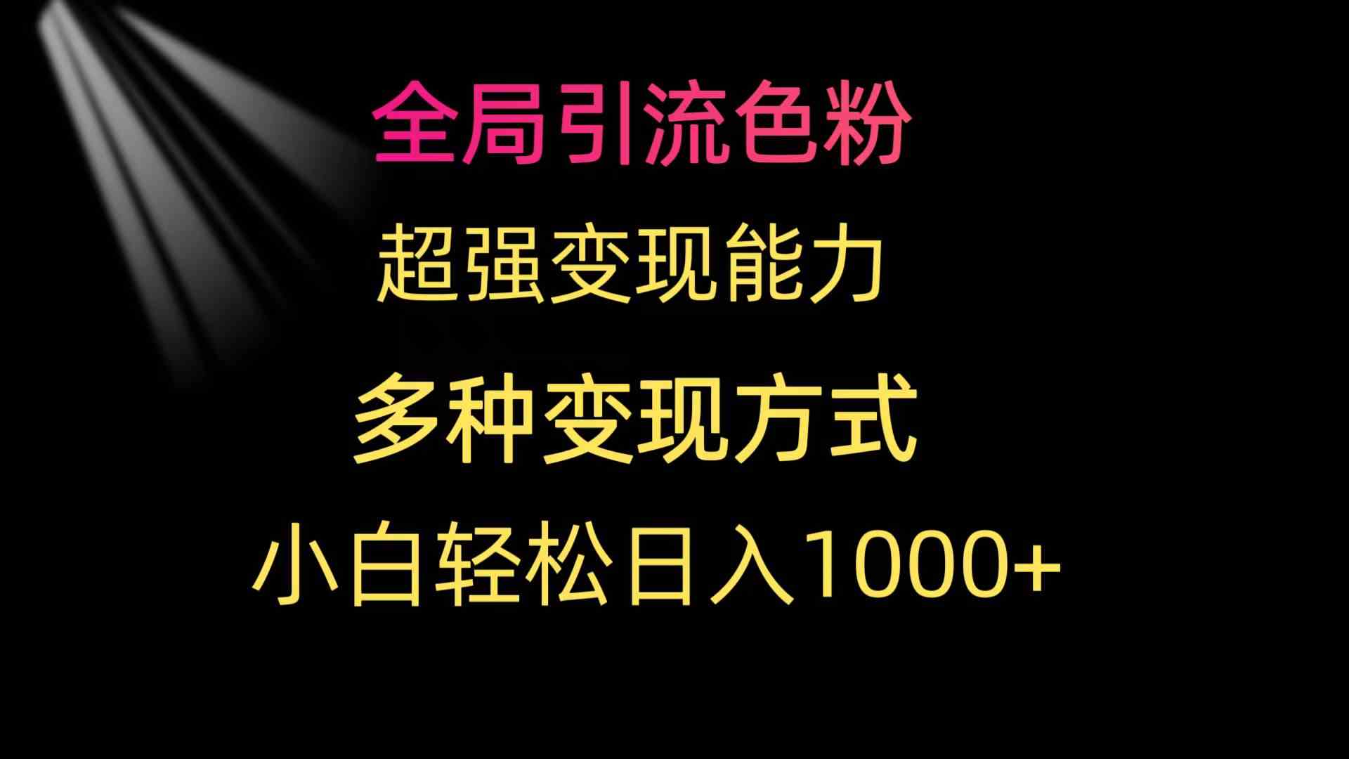 (9680期)全局引流色粉 超強變現能力 多種變現方式 小白輕松日入1000+ - 嚴選資源大全