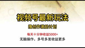 （10087期）視頻號最新玩法，每日一小時月入5000+ - 嚴選資源大全 - 嚴選資源大全