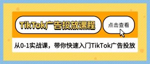 （10731期）TikTok廣告投放課程，從0-1實戰(zhàn)課，帶你快速入門TikTok廣告投放（30節(jié)課） - 嚴選資源大全 - 嚴選資源大全