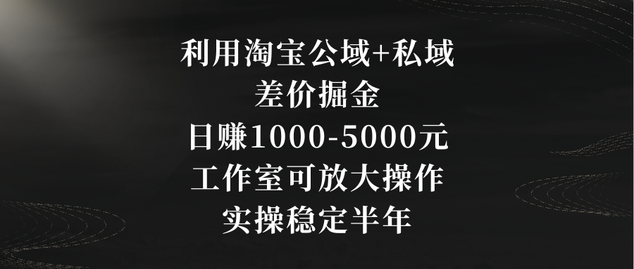 利用淘寶公域+私域差價掘金,日賺1000-5000元,工作室可放大操作,實操… - 嚴選資源大全