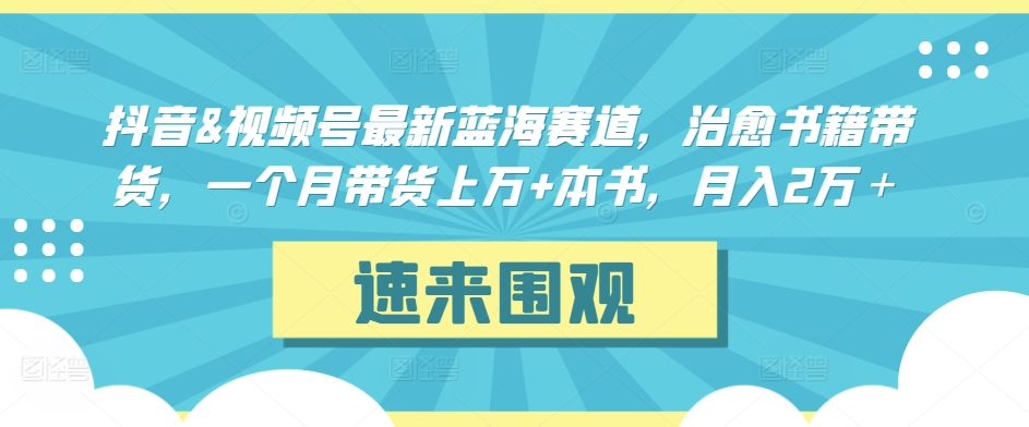 抖音&視頻號最新藍海賽道，治愈書籍帶貨，一個月帶貨上萬+本書，月入2萬＋ - 嚴選資源大全