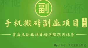 手機(jī)搬磚小副業(yè)項(xiàng)目訓(xùn)練營1.0，實(shí)測(cè)1小時(shí)收益50+，一部手機(jī)輕松日入100+ - 嚴(yán)選資源大全 - 嚴(yán)選資源大全