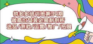 拼多多培訓班第34期：做高價女裝必盈利剖析選品/測款/運營/推廣/拓展 - 嚴選資源大全 - 嚴選資源大全
