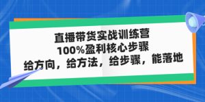 直播帶貨實操落地班，直播起號必備實操運營課，給方向，給方法，給步驟，能落地 - 嚴選資源大全 - 嚴選資源大全