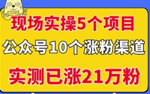 現場實操5個公眾號項目，10個漲粉渠道，實測已漲21萬粉！? - 嚴選資源大全 - 嚴選資源大全